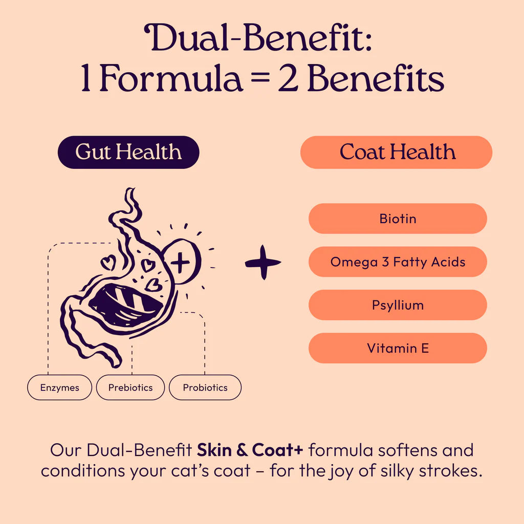 Welljoy Skin&Coat + Gutboost Cat Treat