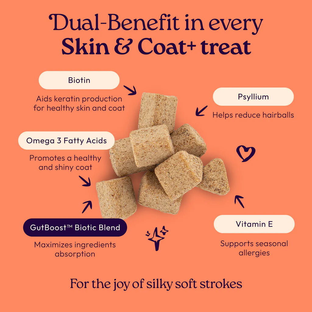 Welljoy Skin&Coat + Gutboost Cat Treat