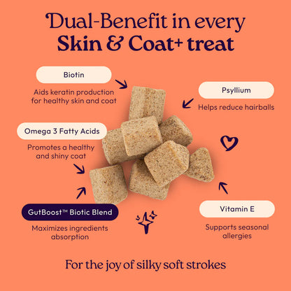 Welljoy Skin&Coat + Gutboost Cat Treat