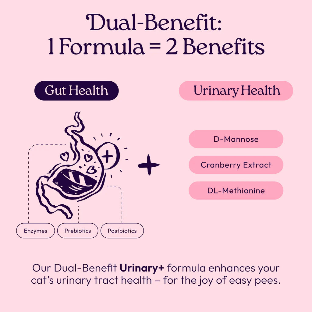 Welljoy Urinary + Gutboost Cat Supplement