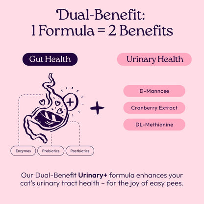 Welljoy Urinary + Gutboost Cat Supplement