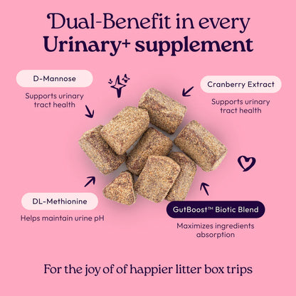 Welljoy Urinary + Gutboost Cat Supplement
