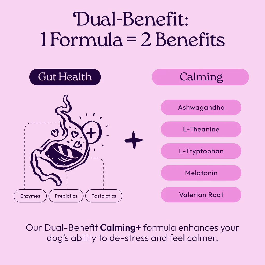 Welljoy Calming + Gutboost Dog Supplement