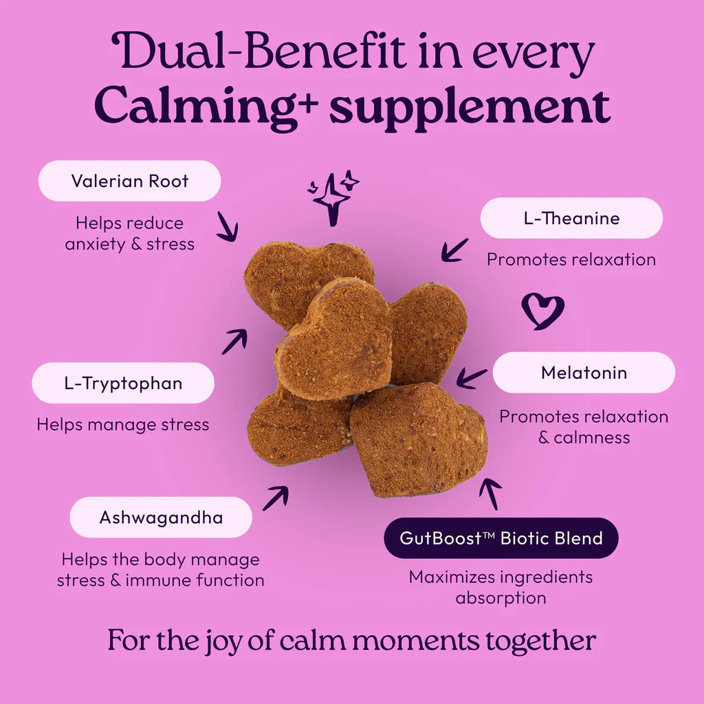 Welljoy Calming + Gutboost Dog Supplement