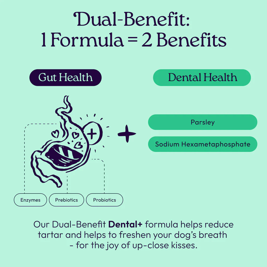 Welljoy Dental + Gutboost Dog Treat