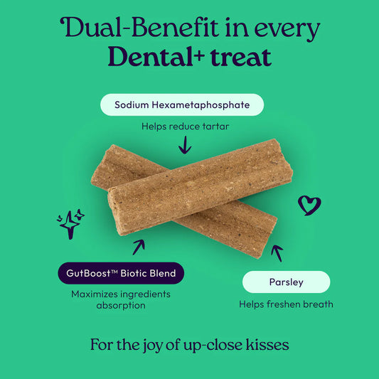 Welljoy Dental + Gutboost Dog Treat