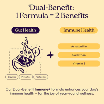 Welljoy Immune + Gutboost Dog Supplement