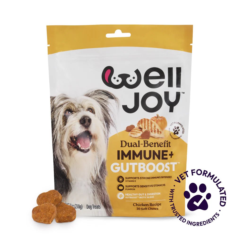 Welljoy Immune + Gutboost Dog Treat