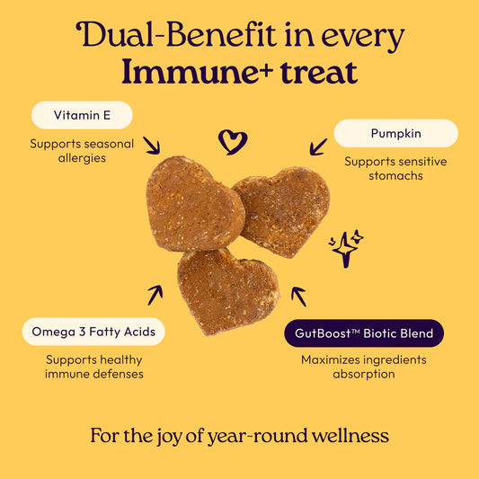 Welljoy Immune + Gutboost Dog Treat
