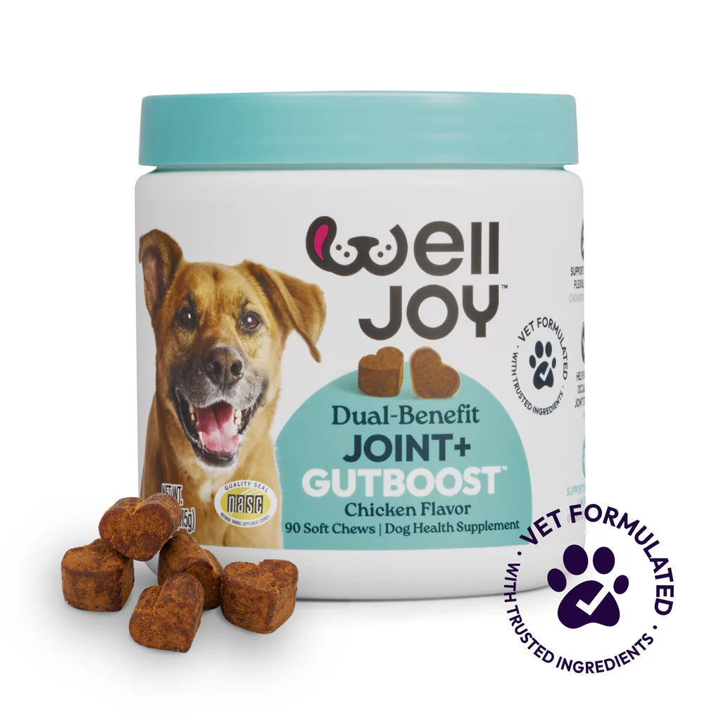 Welljoy Joint + Gutboost Dog Supplement