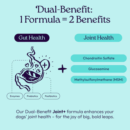 Welljoy Joint + Gutboost Dog Supplement