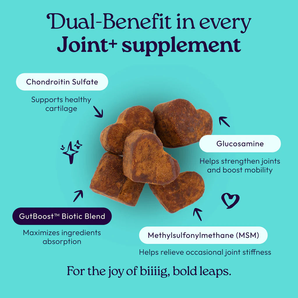Welljoy Joint + Gutboost Dog Supplement
