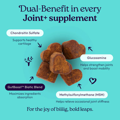Welljoy Joint + Gutboost Dog Supplement