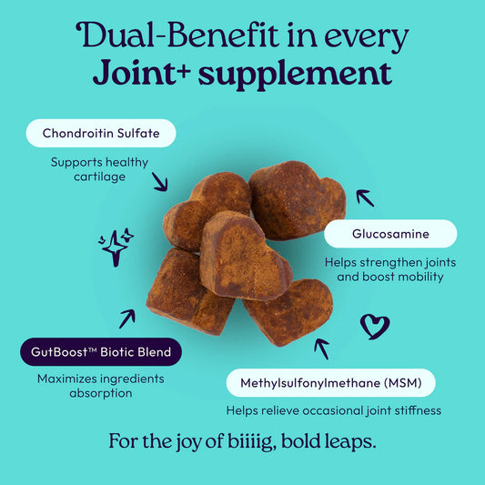 Welljoy Joint + Gutboost Dog Supplement