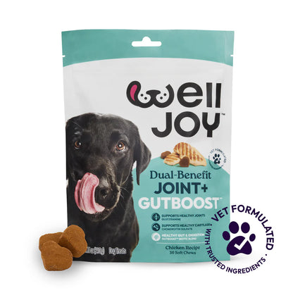 Welljoy Joint + Gutboost Dog Treat