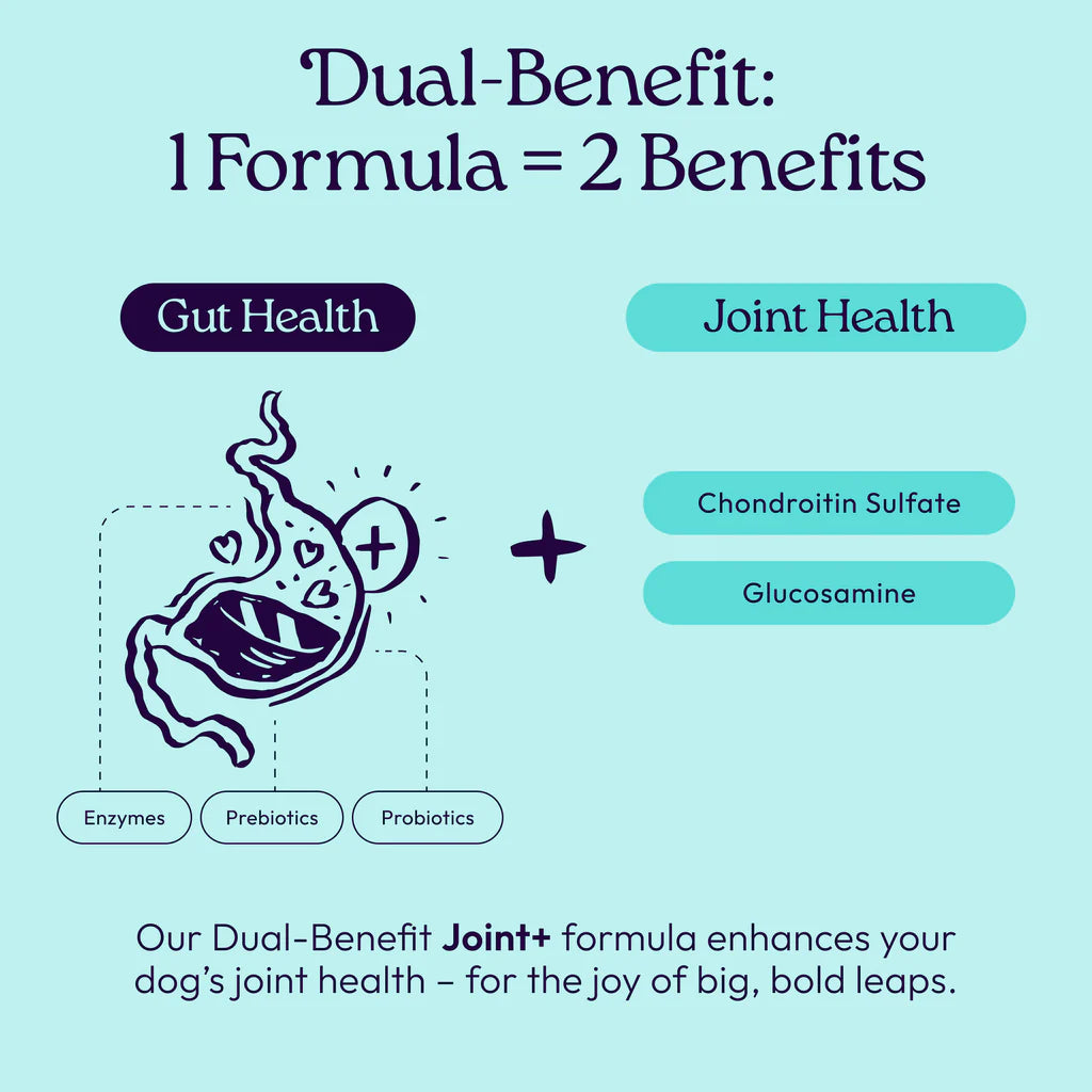 Welljoy Joint + Gutboost Dog Treat