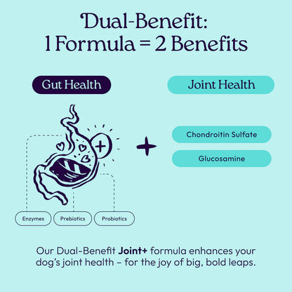 Welljoy Joint + Gutboost Dog Treat