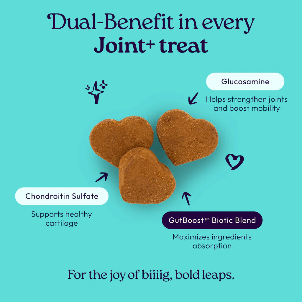 Welljoy Joint + Gutboost Dog Treat