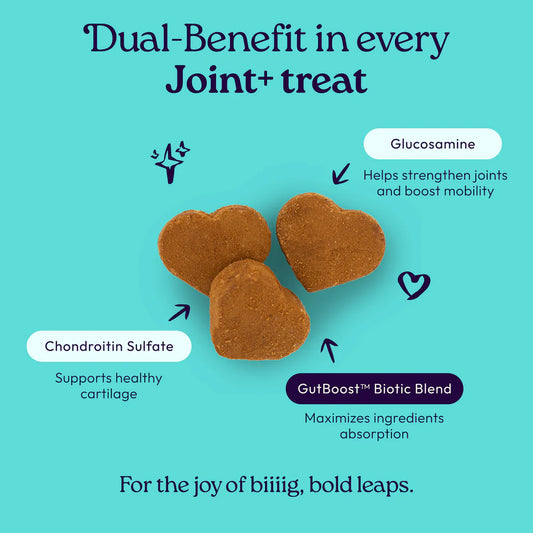 Welljoy Joint + Gutboost Dog Treat