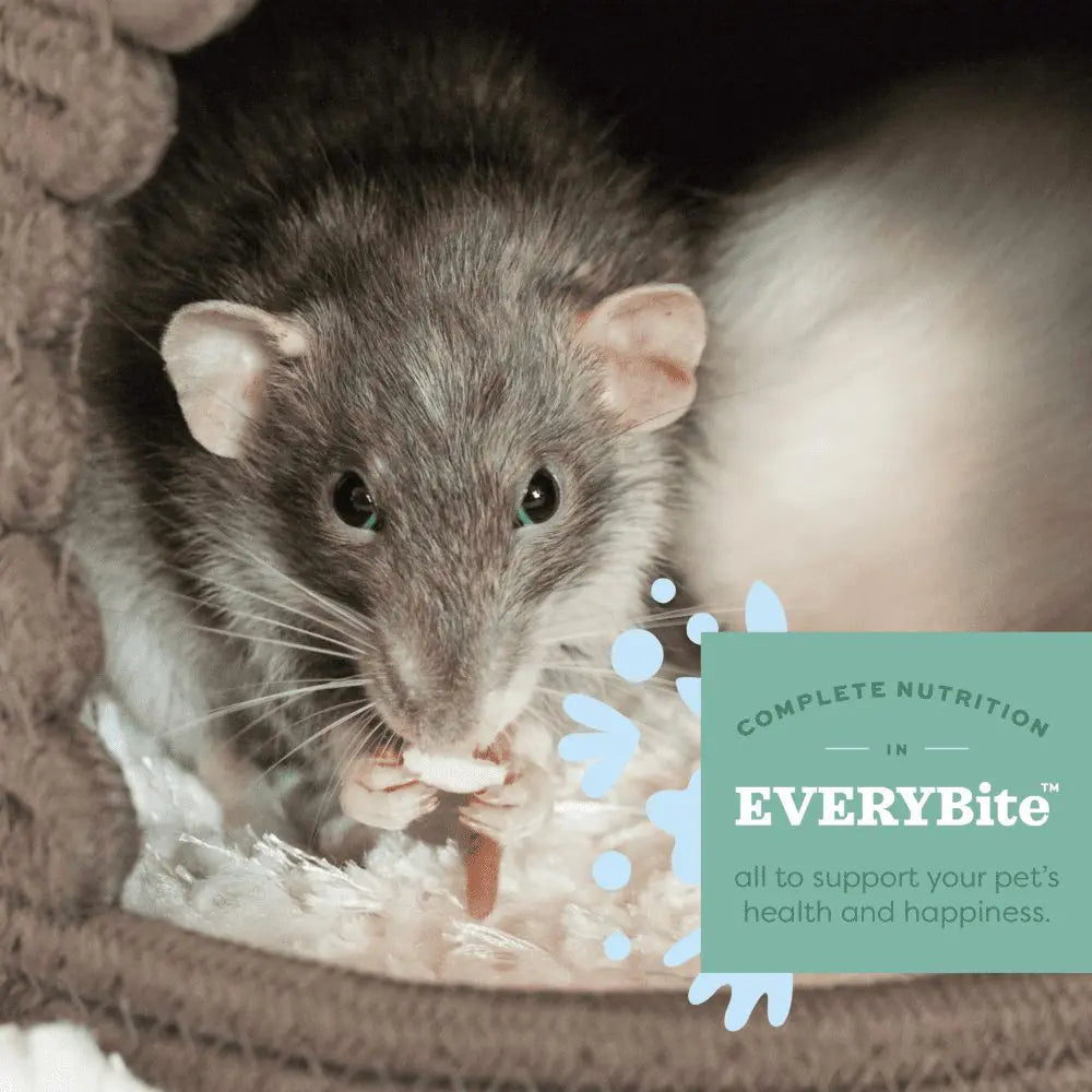 Oxbow Essentials Rat Food
