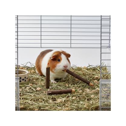 Nibbles Hue Chews - 5pk