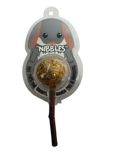 Nibbles Garden Crunch Hay Pops