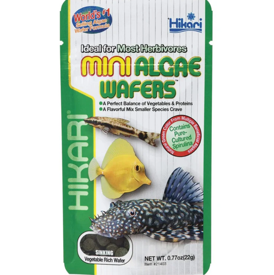Hikari Mini Algae Wafers