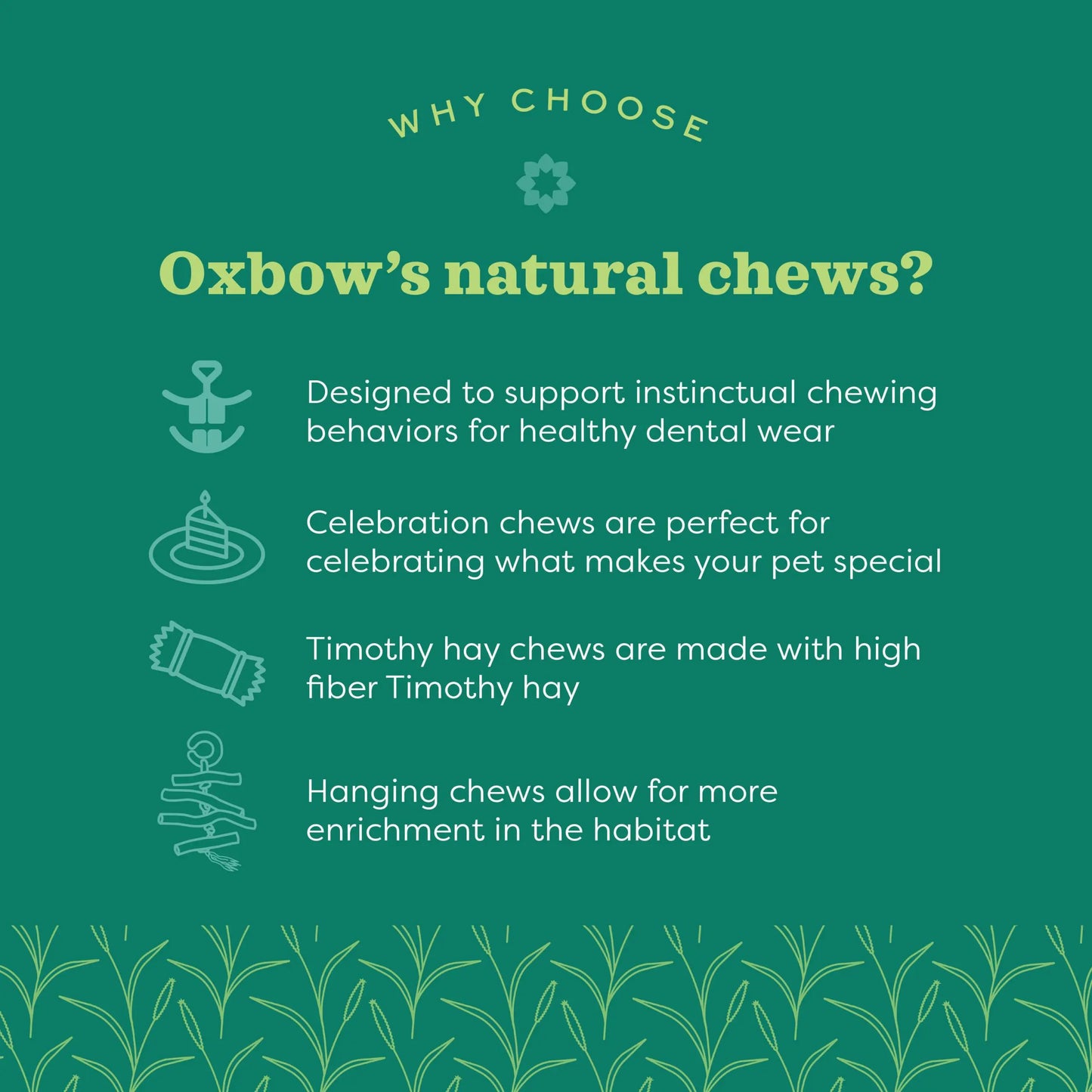 Oxbow Enriched Life Dangly Party Pack