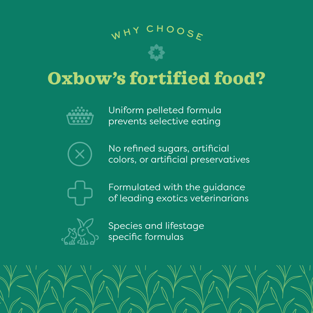 Oxbow Essentials Rat Food