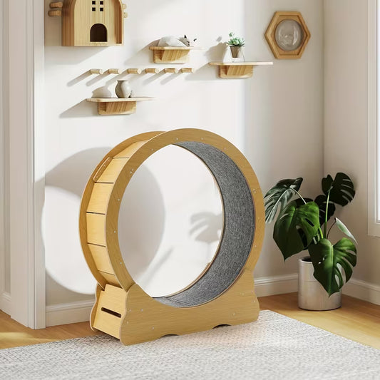 Cat Exercise Wheel