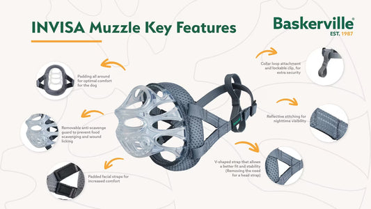 Baskerville Invisa Transparent Padded Muzzle