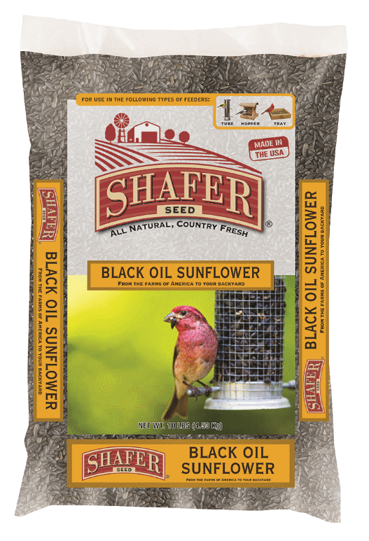 Shafer Black Oil Sunflower Seeds