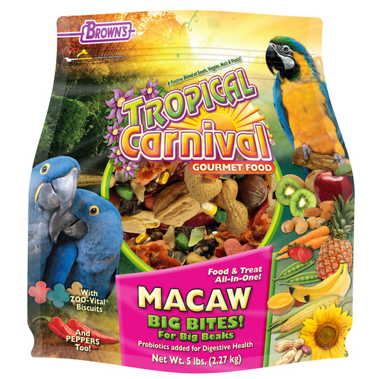 Tropical Carnival Macaw Big Bites
