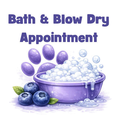 Bath & Blow Dry Appointment