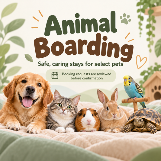 Animal Boarding