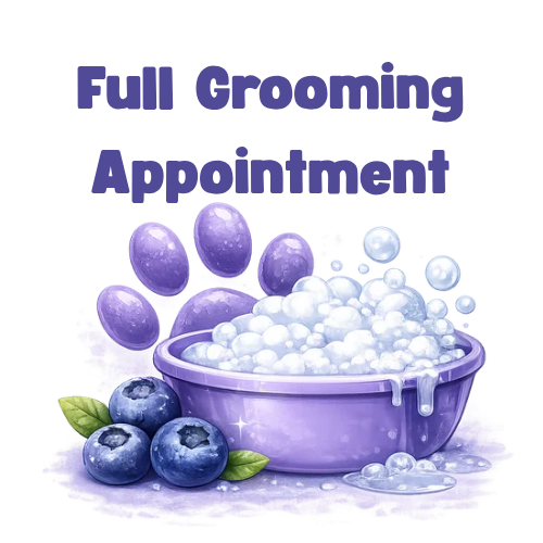 Full Grooming Appointment