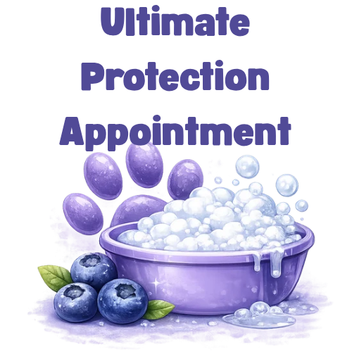 Ultimate Protection Groom Appointment