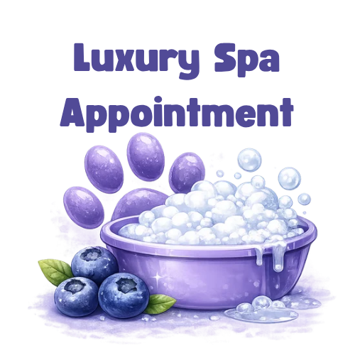 Luxury Spa Grooming Appointment