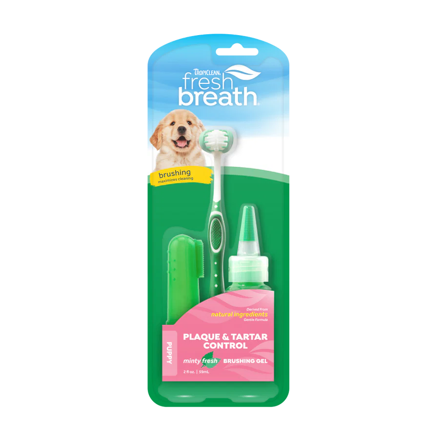 Fresh Breath Oral Care Kit