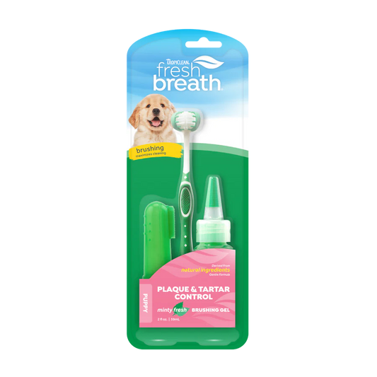 Fresh Breath Oral Care Kit