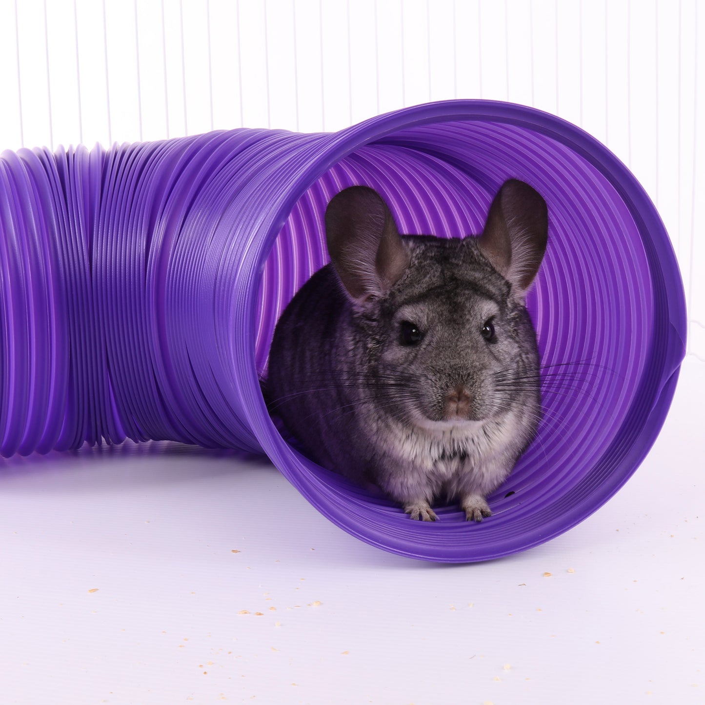 Fun Tunnels