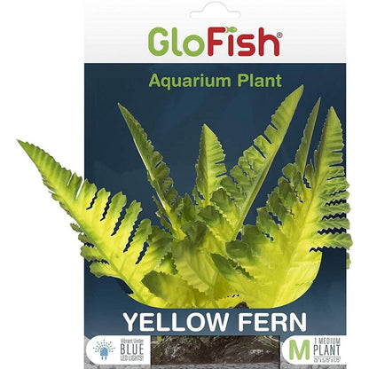 Glofish Fern Decor