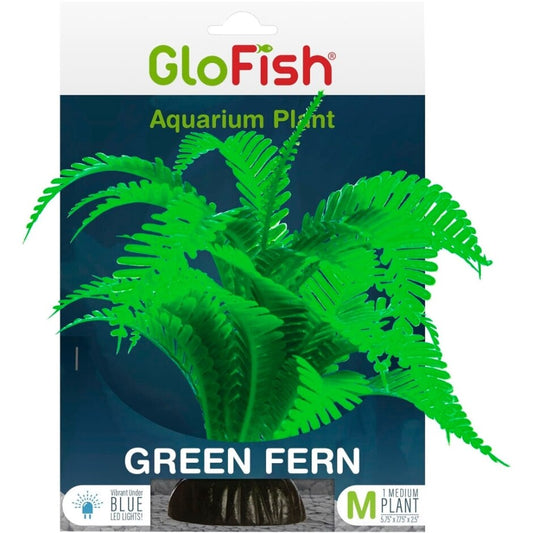 Glofish Fern Decor
