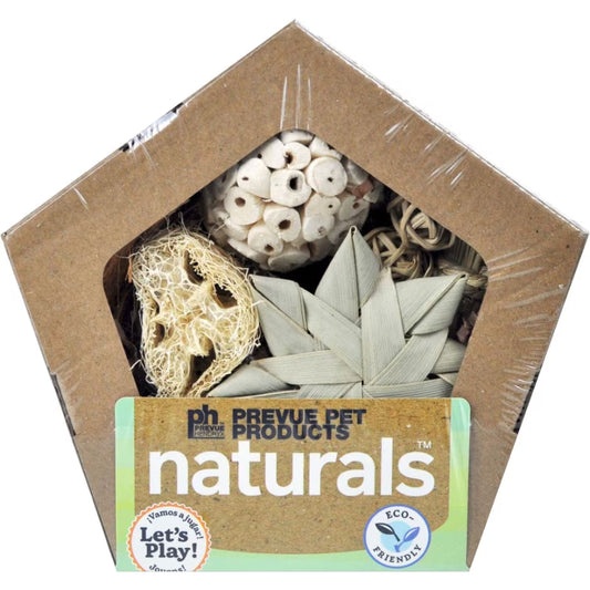 Prevue Pentagon Forage N Play Box